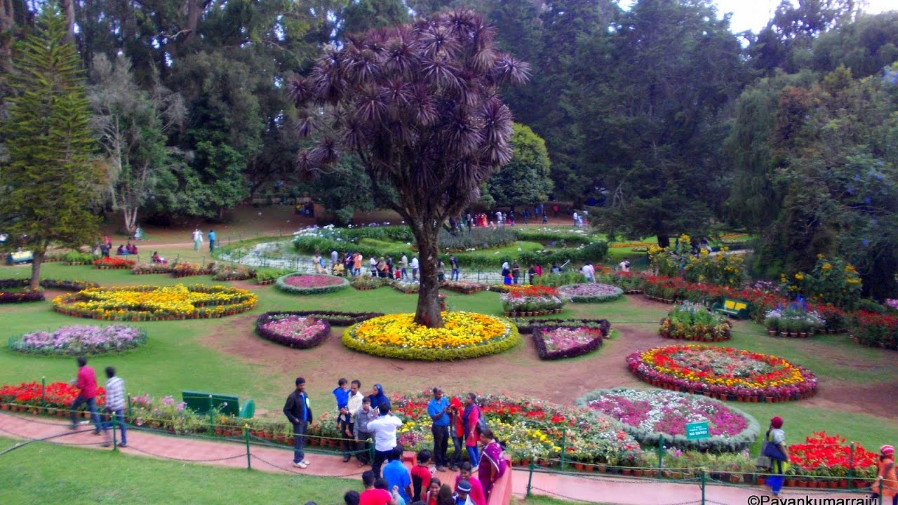 Ooty Mysore